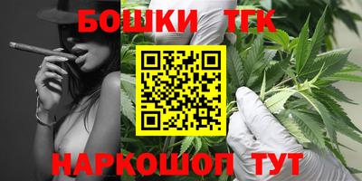 крисы Будённовск